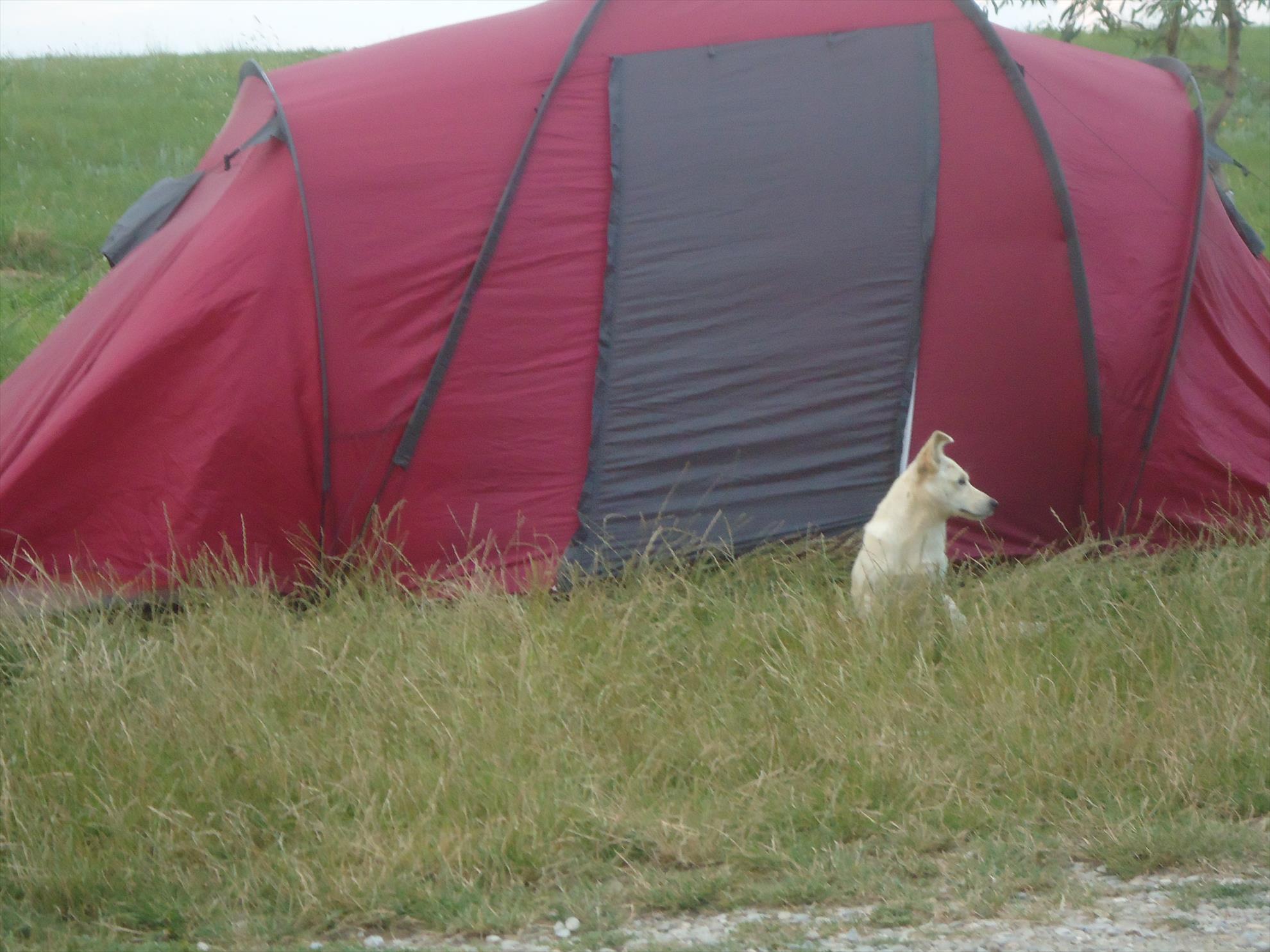 Moara Vlasiei 2 9 - 10 iulie 2014 - dsc05603.JPG